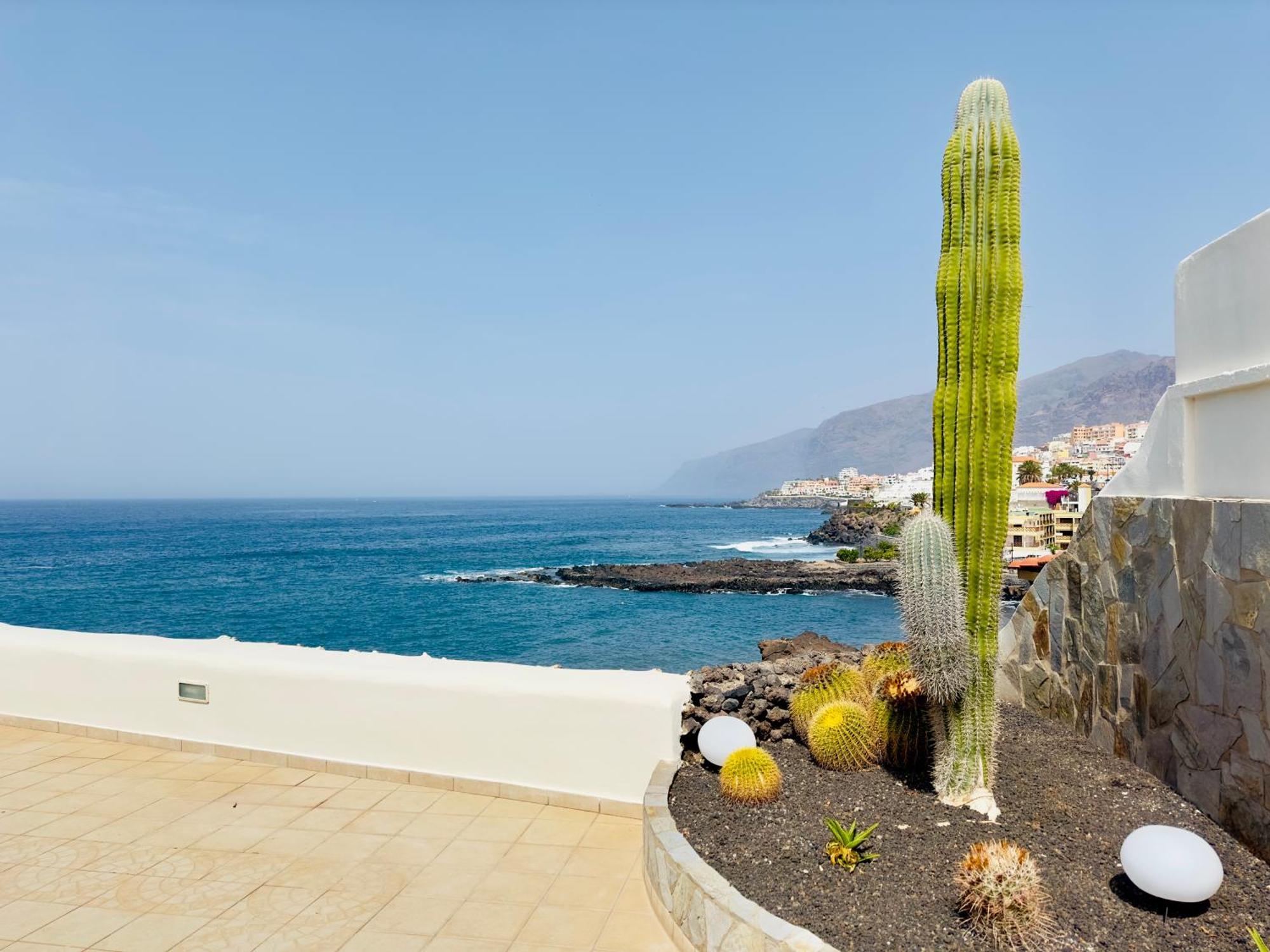 Beachfront Villa And Pool Puerto de Santiago  Extérieur photo